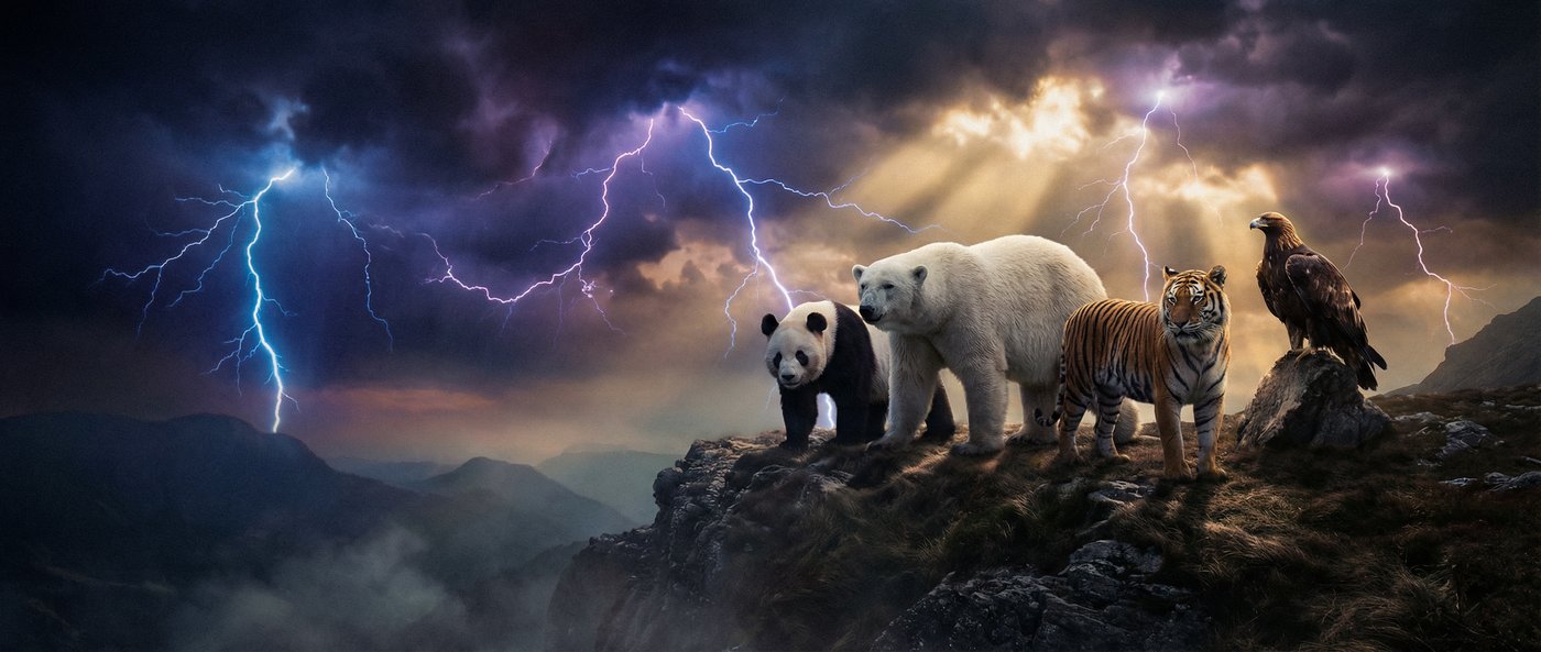 抖阴动物写真视频社区